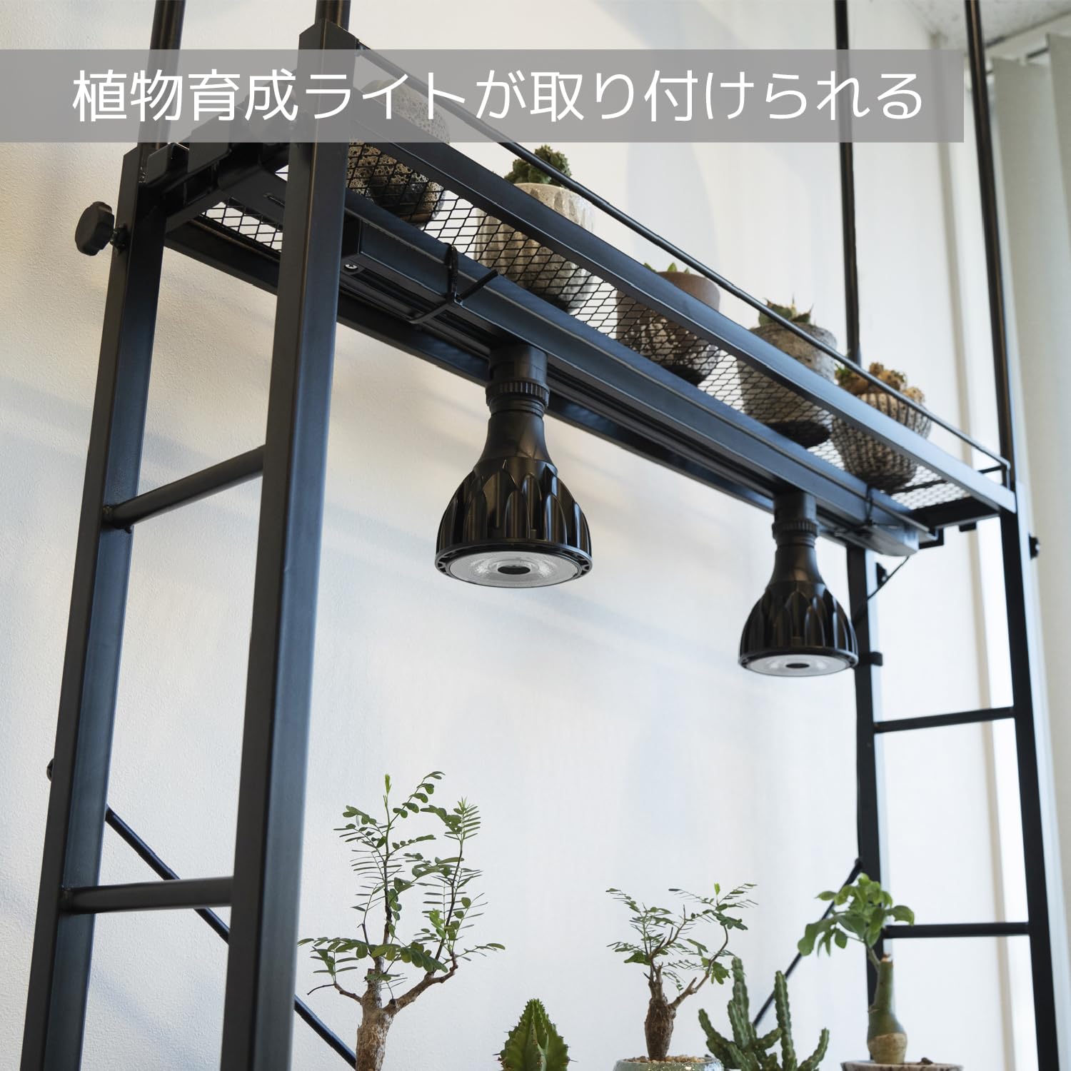 Amazon.co.jp: BIBILAB(ビビラボ) ビザールプランツラックスリム